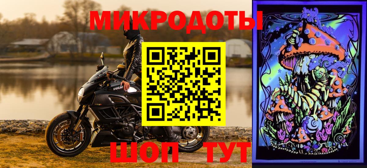 Псилоцибиновые грибы Cubensis Городец